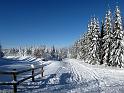 2010-01-31, Altenberg (8)